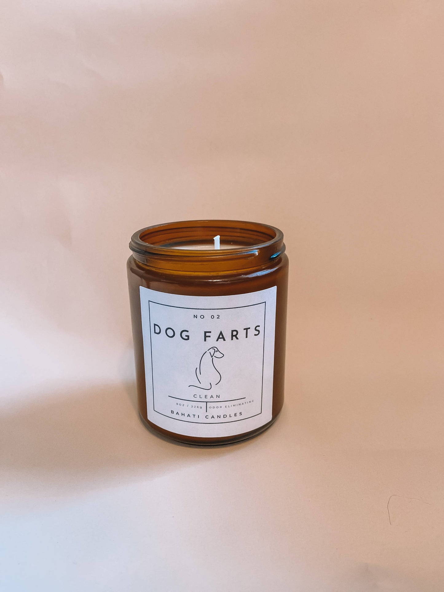 Dog Farts Soy Candle