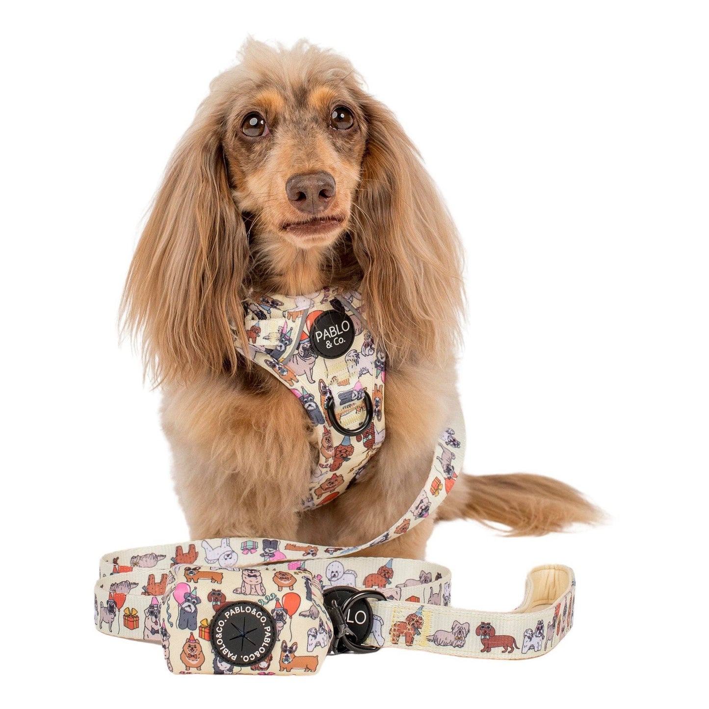 Party Dawgs: Poop Bag Holder