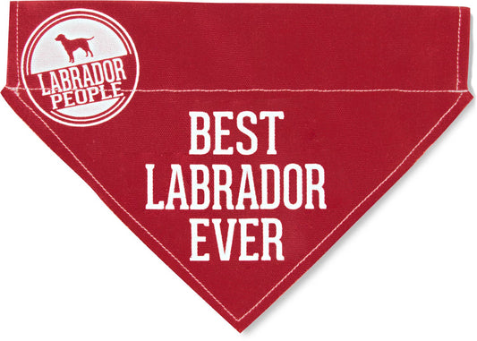 Best Labrador - 12" x 8" Canvas Slip-on Pet Bandana