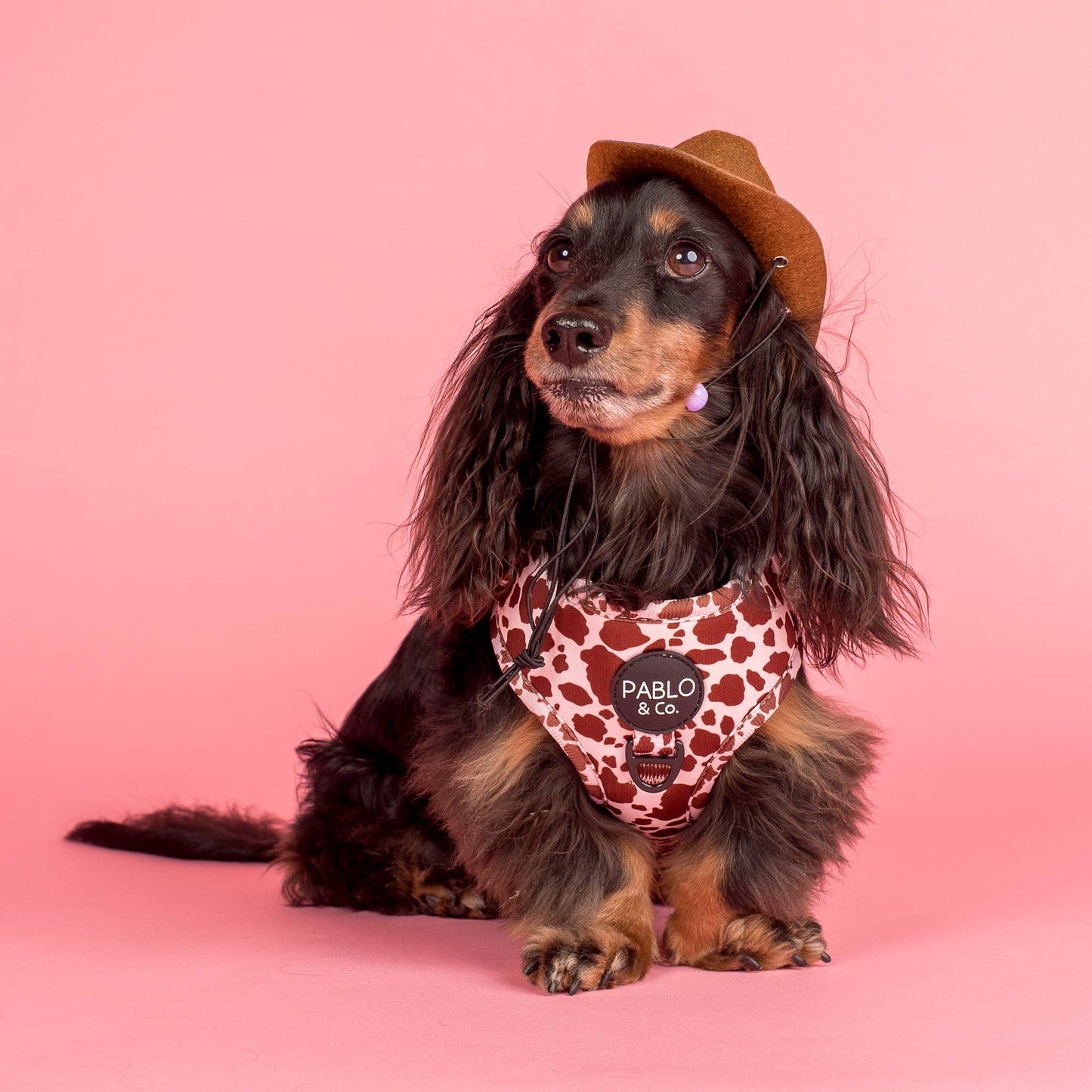 Rodeo: Adjustable Harness