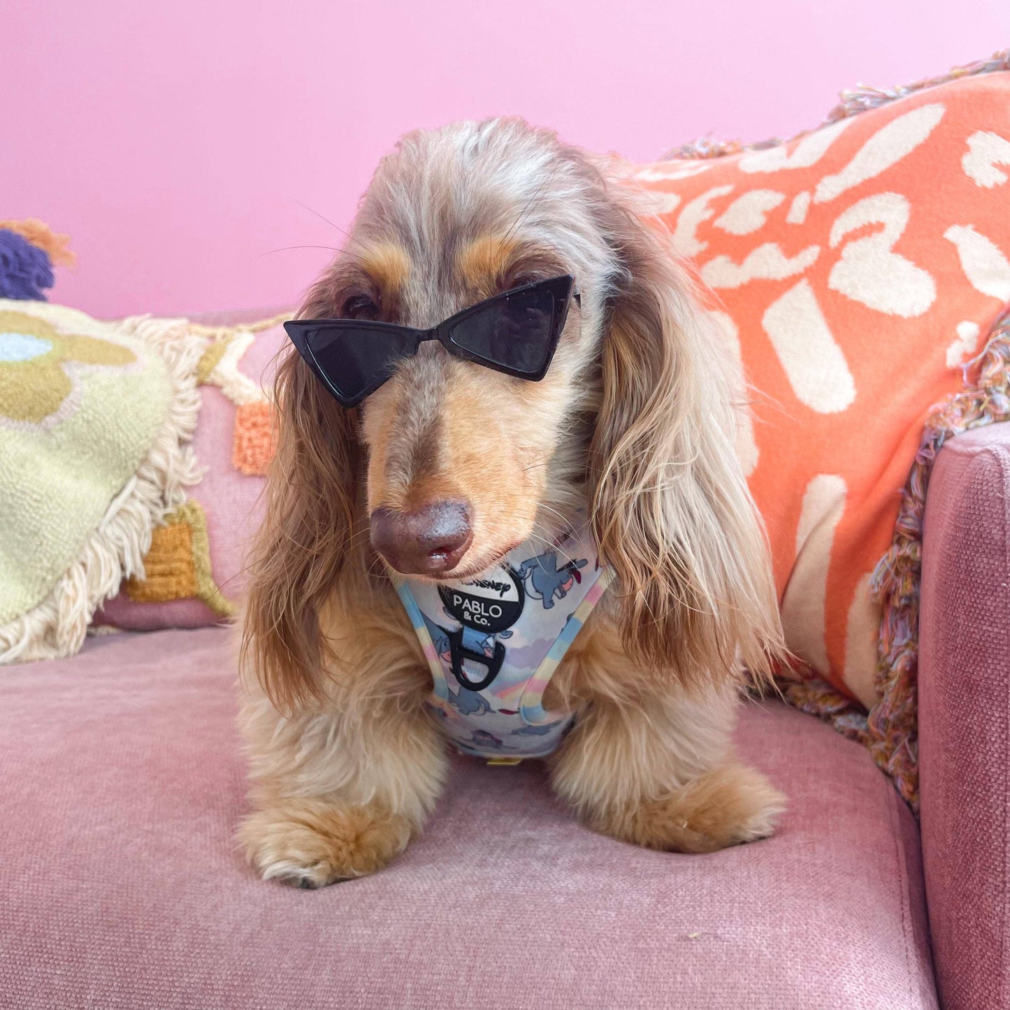 Dog Pet Sunglasses