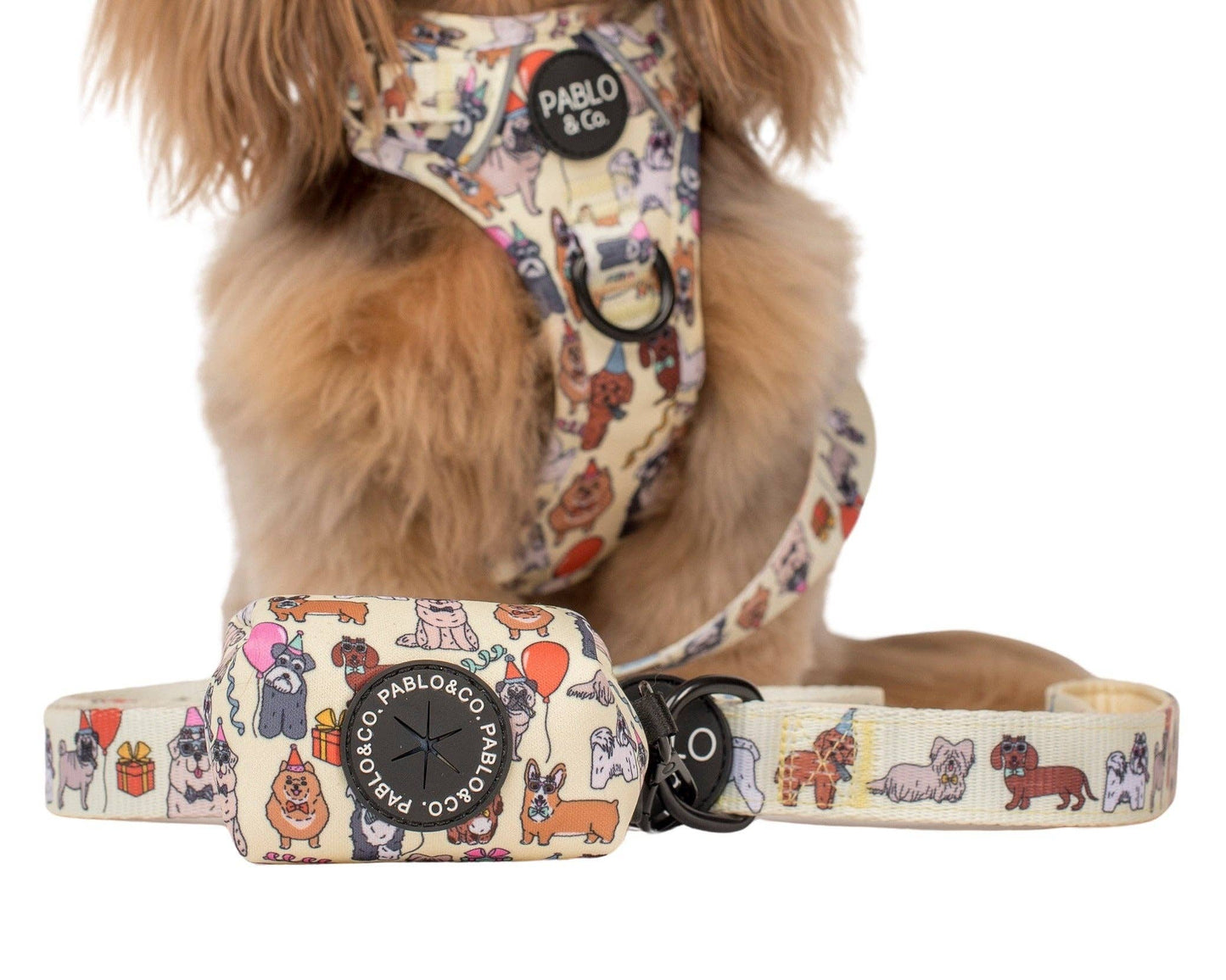 Party Dawgs: Poop Bag Holder