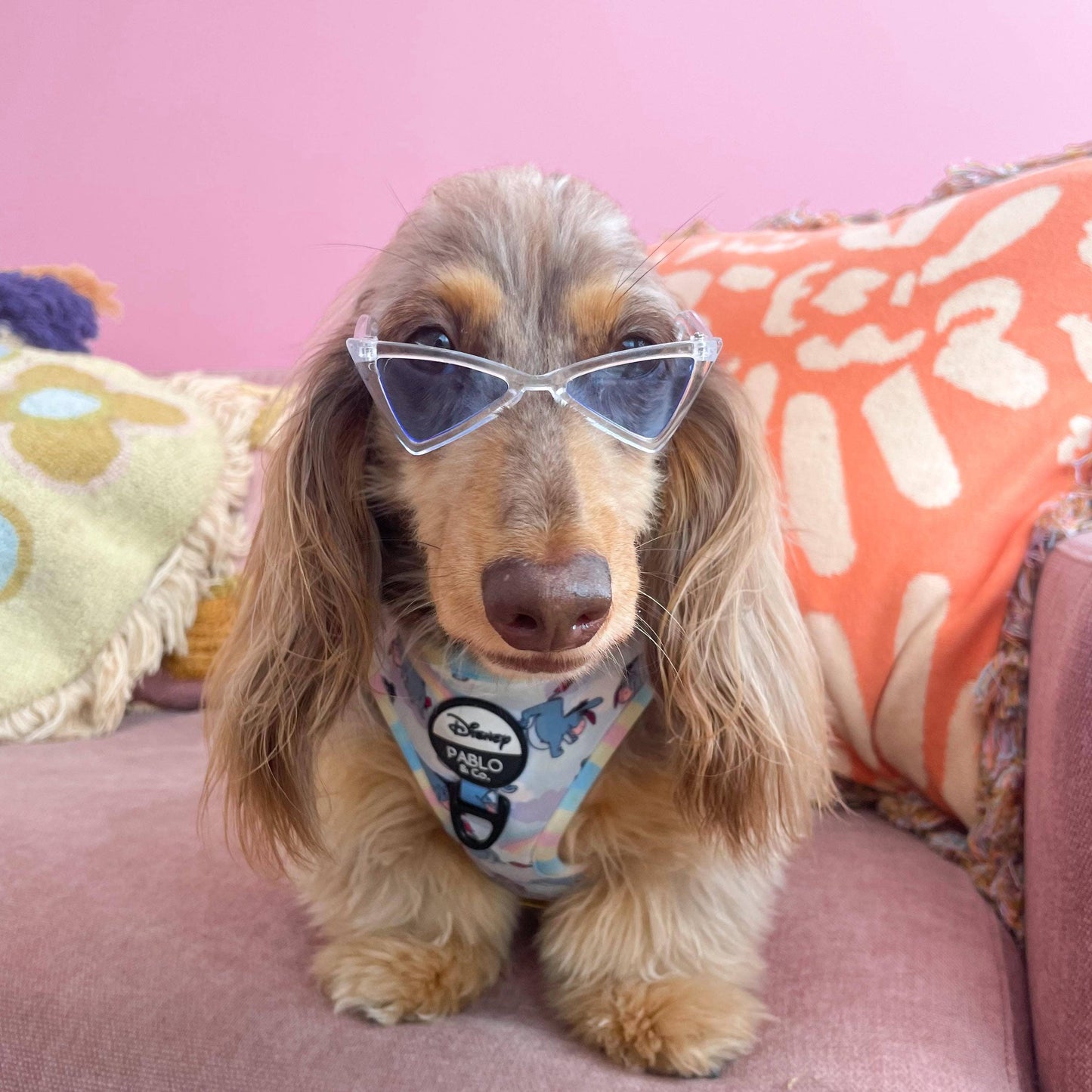 Dog Pet Sunglasses